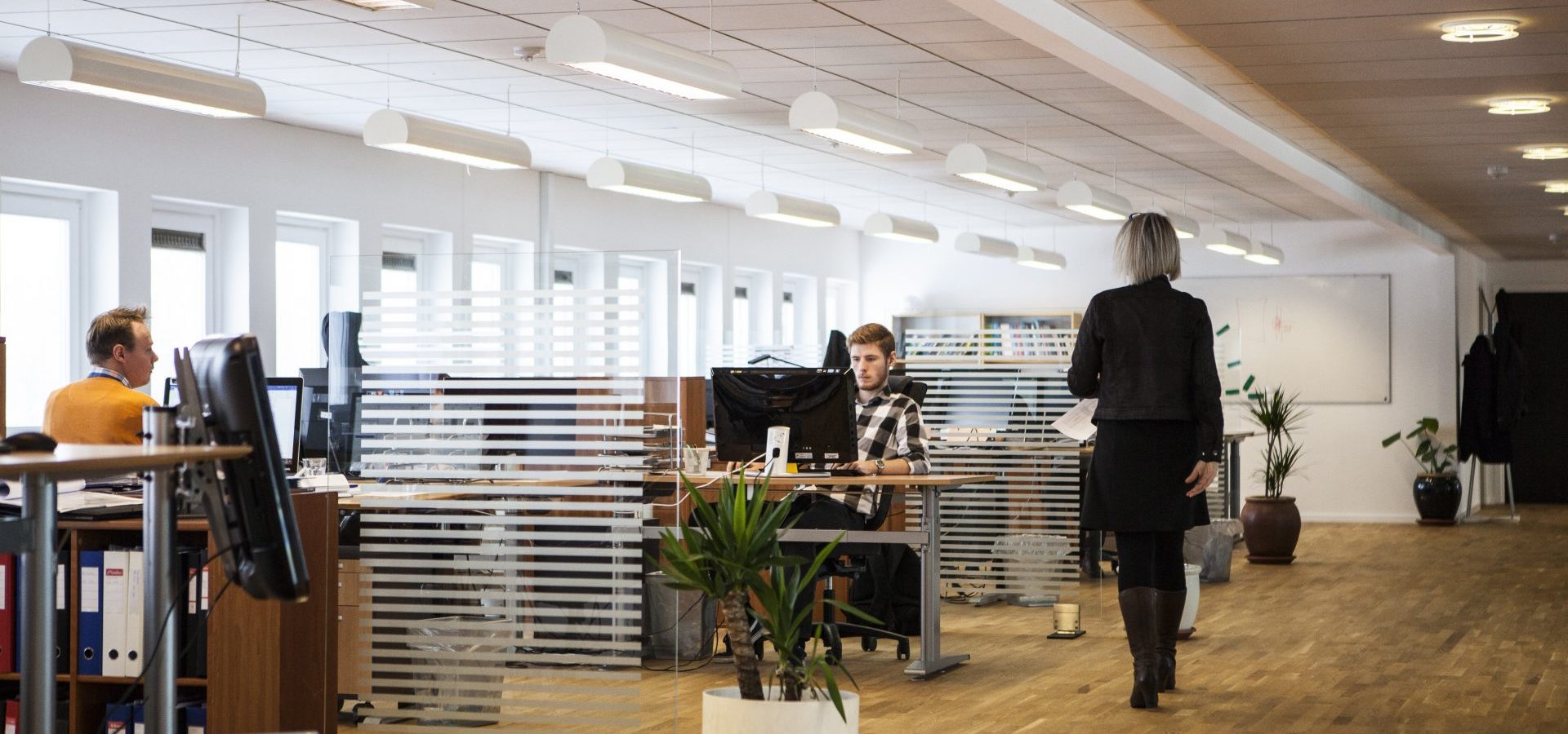 office